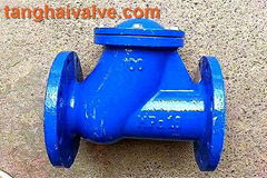 Ball check valve