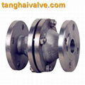 Ball check valve 5