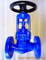 globe valve-7