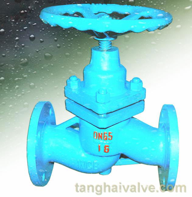 Globe valve 4