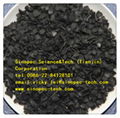 Coconut Activated carbon 1