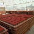 焦作 耐磨地坪用氧化铁红 彩砖用铁红耐高温着色力强 3