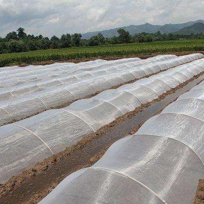 Nonwoven fabric for Agricultural  4