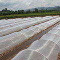 Nonwoven fabric for Agricultural  4