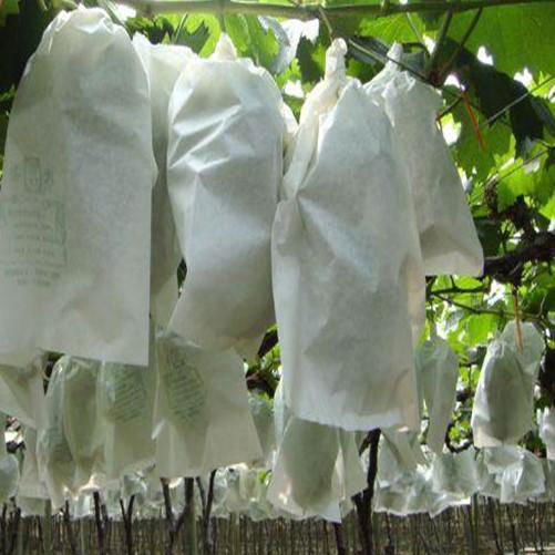 Nonwoven fabric for Agricultural  5