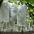 Nonwoven fabric for Agricultural  5