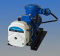 Explosion Proof Peristaltic Pump 1