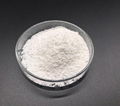 Nusacco (Sialic Acid)