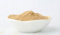 Oyster mushroom Powder