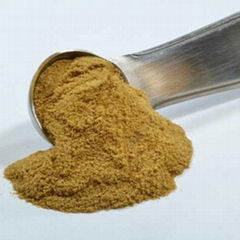 Organic Herbal Powder Extract