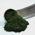 Organic Chlorella Powder 50%