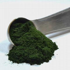 Organic Spirulina Powder 60%