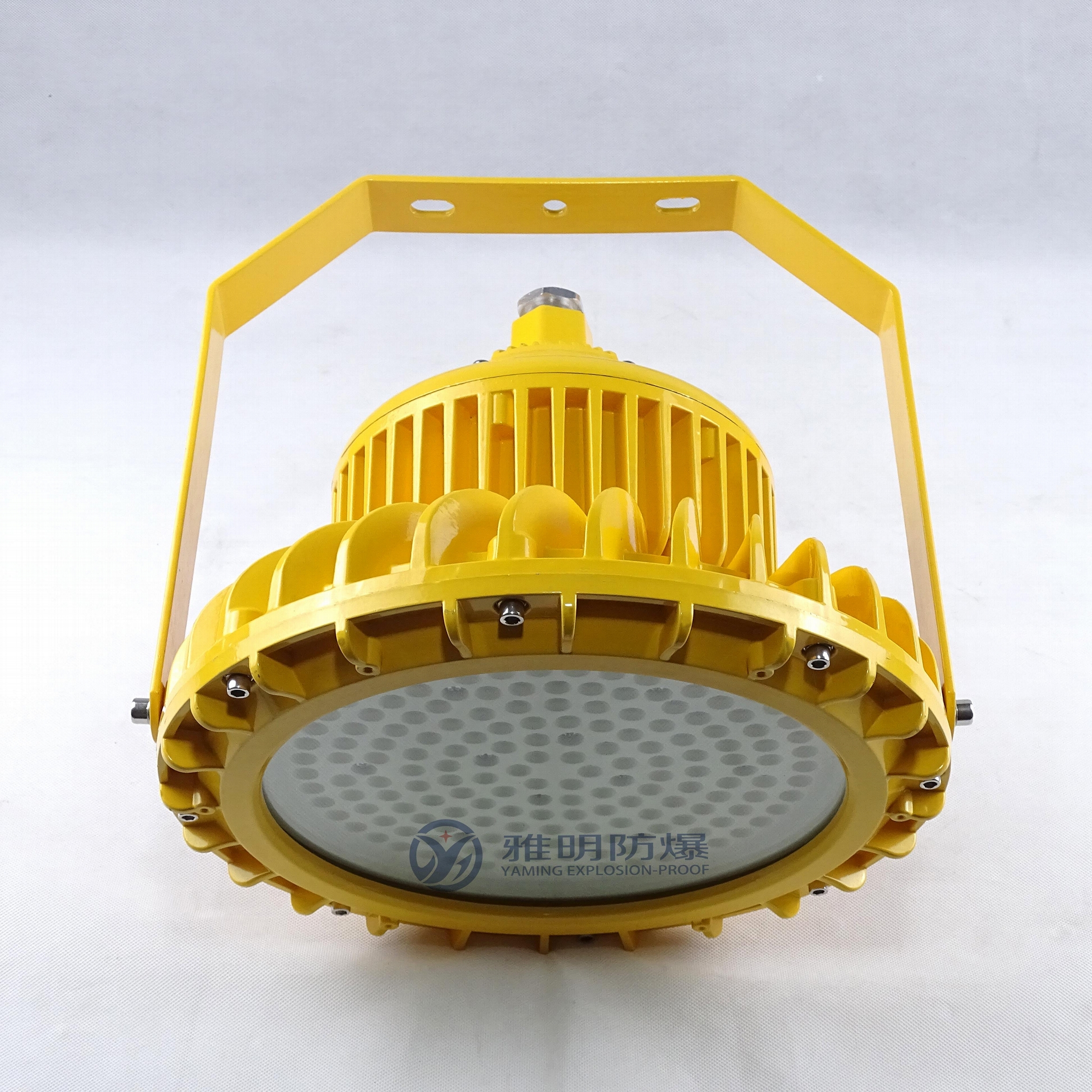 led防爆灯100w电厂酒厂专用100w防爆led灯 5