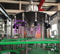 FILL-PACK Gallon Filling Machine