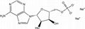 High quality Adenosine-5'-monophosphate disodium salt(AMP-Na2) CAS NO.4578-31-8 1