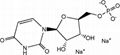 High quality Uridine-5'-monophosphate disodium salt(UMP-Na2) CAS NO.3387-36-8 2