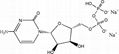 High quality cytidine-5'-diphosphate disodium salt(CDP-Na2) CAS NO.54394-90-0 1