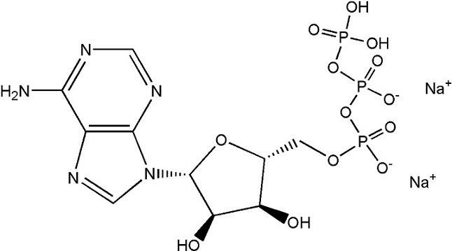 High quality Adenosine-5'-triphosphate disodium salt (ATP-Na2）CAS NO.987-65-5