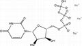 High quality Uridine-5'-triphosphate trisodium salt(UTP-Na3) CAS NO.19817-92-6