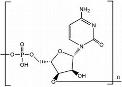 High quality polycytidysic acid(Poly