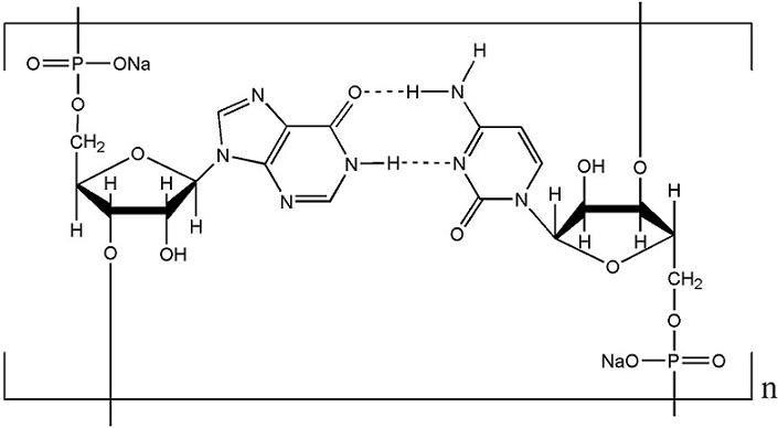 polyinosinic polycytidylic acid sodium salt(Poly I:C)CAS NO.42424-50-0