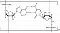 polyinosinic polycytidylic acid sodium