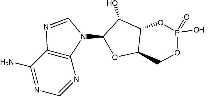 High quality adenosine 3'--5'-cyclic monophate(cAMP) CAS NO.60-92-4