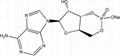 adenosine 3',-5'-cyclic monophosphate sodium salt(cAMP-Na)CAS NO.37839-81-9