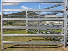 Cattle Panel