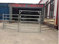 Cattle Panel 5