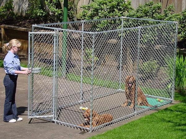 Chain Link Dog Cage 3