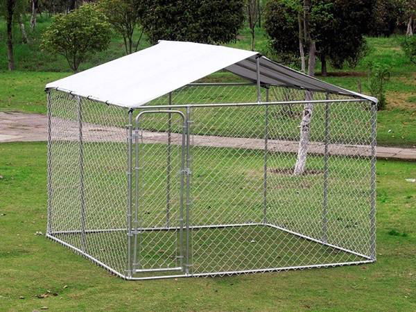 Chain Link Dog Cage 4