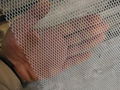 Extruded Plastic Mesh 4