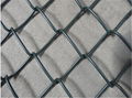 Chain Link Fence 2