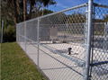 Chain Link Fence 3