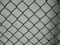 Chain Link Fence 5