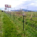 Field Fence 4