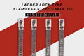 304 Naked Stainless Steel Cable Tie Ladder Lock Types 1