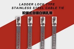 304 Naked Stainless Steel Cable Tie Ladder Lock Types
