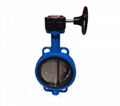 PN10 / PN16 DI Lug Type Butterfly Valve