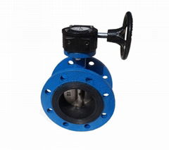 Wholesale 4 inch DN2501 concentric DI flanged butterfly valve