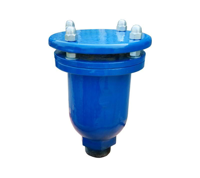 Wholesale Competitive Price One Port Automatic Dn100 Air Vent Valve PN10/16 Air  3