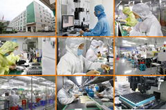 Shenzhen Rebo Optical Technology Co., Ltd.