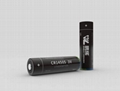 Li-MnO2 Cylindrical Cell 2