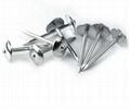 Umbrella Roofing Nails   stainless steel