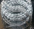 Concertina Razor Wire  wholesale Razor wire  carbon steel Razor wire  4