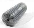 Galvanized Welded Mesh   Galvanized Welded Mesh supplier  1