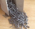 Common Nails  wholesale Common Nails 3