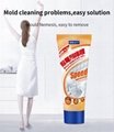 shanghai old supplier export mildew mold remover gel with good price  3