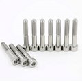 Gr5 Titanium Bolts for Motorcycle 3